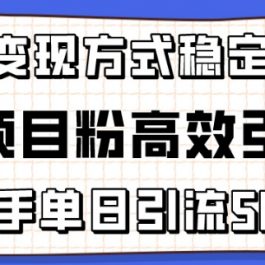 精准项目粉高效引流术，新手单日引流50+，多重变现方式稳定赚钱