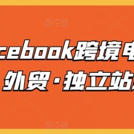 脸书Facebook跨境电商入门课，外贸·独立站必修