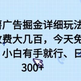 小红薯广告掘金详细玩法，外面收费大几百，小白有手就行，日入300+