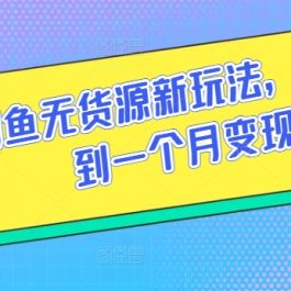 闲鱼无货源新玩法，如何做到一个月变现5W