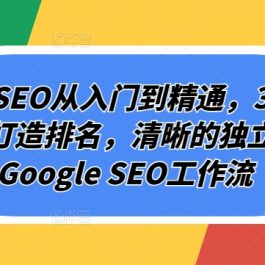 谷歌SEO从入门到精通，30讲带你打造排名，清晰的独立站+Google SEO工作流