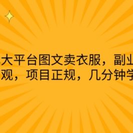 通过几大平台图文卖衣服，副业首选，收入可观，项目正规，几分钟学会实操