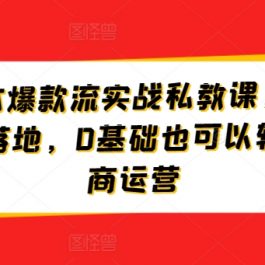 淘宝低成本爆款流实战私教课，帮助商家快速复制落地，0基础也可以轻松搞定电商运营