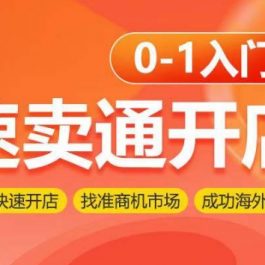 速卖通开店0-1入门，新手快速开店 找准商机市场 成功海外掘金