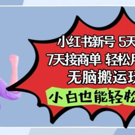 小红书影视泥巴追剧5天涨千粉，7天接商单，轻松月入过万，无脑搬运玩法