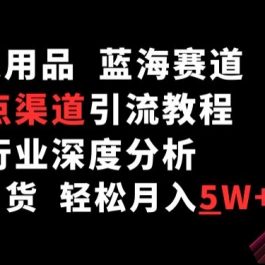 成人用品，蓝海赛道，重点渠道引流教程，行业深度分析，无需囤货，轻松月入5W+