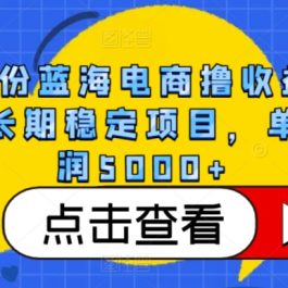 4月份蓝海电商撸收益技术，长期稳定项目，单月利润5000+