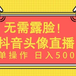 无需露脸，Ai头像直播项目，简单操作日入500+