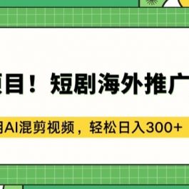 蓝海项目!短剧海外推广赚美金，利用AI混剪视频，轻松日入300+