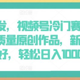 全网首发，视频号冷门赛道，AI制作高质量原创作品，新人小白友好，轻松日入1000+