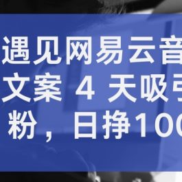 抖音遇见网易云音乐，新奇文案 4 天吸引 5W 粉，日挣1000+