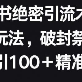 小红书绝密引流术2.0升级玩法，破封禁，轻松日引100+精准流量