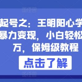 快速起号之：王明阳心学3.0玩法，暴力变现，小白轻松月入过万，保姆级教程