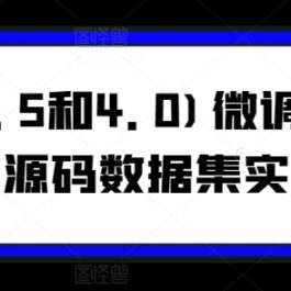 GPT(3.5和4.0)微调入门和实战，源码数据集实战案例