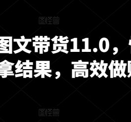 抖音图文带货11.0，快速出单拿结果，高效做账号