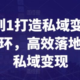 从0到1打造私域变现商业闭环，高效落地实现私域变现