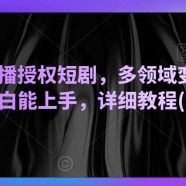 陌陌美女直播授权短剧，多领域变现玩法，日入1000+小白能上手，详细教程(软件+素材）