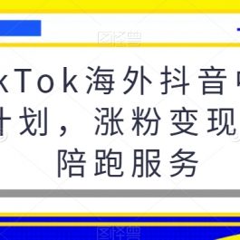 TikTok海外抖音中视频计划，涨粉变现提现陪跑服务