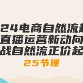 2024电商自然流起号，直播运营新动向 实战自然流正价起号（25节课）