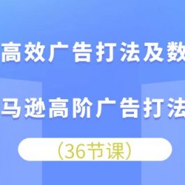 亚马逊高效广告打法及数据优化，亚马逊高阶广告打法课（36节）