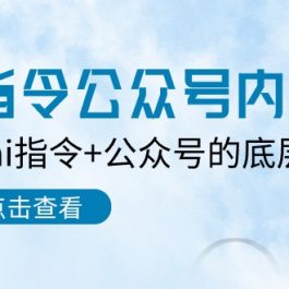 Ai指令公众号内训课：学会ai指令+公众号的底层逻辑（7节课）