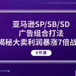 亚马逊SP/SB/SD广告组合打法，揭秘大卖利润暴涨7倍战术 (9节课)