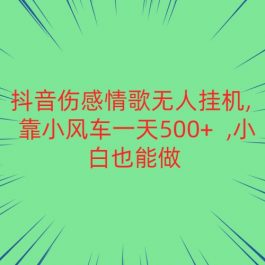 抖音伤感情歌无人挂机 靠小风车一天500+  小白也能做