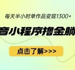 最新抖音小程序撸金躺赚项目，一部手机每天半小时，单个作品变现1300+【揭秘】