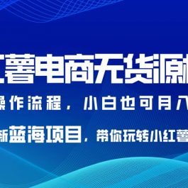 小红薯电商无货源模式，最新蓝海项目，带你玩转小红薯，小白也可月入2w+【揭秘】