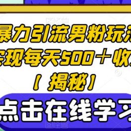 Soul暴力引流男粉玩法，轻松实现每天500＋收益！【揭秘】