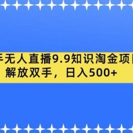 快手无人直播9.9知识淘金项目，解放双手，日入500+【揭秘】