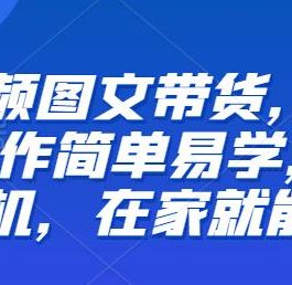 【推荐】短视频图文带货，低门槛,操作简单易学，一部手机，在家就能做