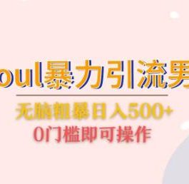 Soul暴力引流男粉玩法，无脑粗暴日入500＋，0门槛即可操作【揭秘】