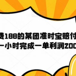 外面收费188的美团准时宝赔付项目，一小时完成一单利润200【仅揭秘】