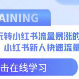 新人玩转小红书流量暴涨的8个野路子，小红书新人快速流量破局