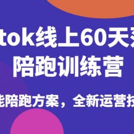 Tiktok线上60天落地陪跑训练营，独家赋能陪跑方案，全新运营技巧干货