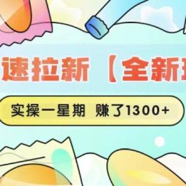 快手极速拉新【全新玩法】实操一星期1300+有图有真相【揭秘】