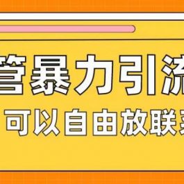 油管暴力引流，可以自由放联系方式【揭秘】