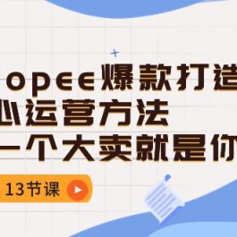 Shopee爆款打造核心运营方法，下一个大卖就是你（13节课）