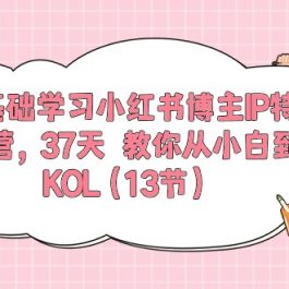 0基础学习小红书博主IP特训营【第5期】，37天教你从小白到KOL（13节）