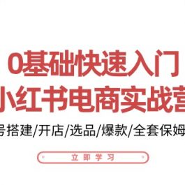 0基础快速入门小红书电商实战营：账号搭建/开店/选品/爆款/全套保姆教程