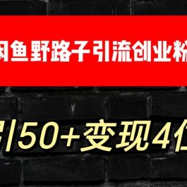 大眼闲鱼野路子引流创业粉，日引50+单日变现四位数