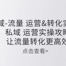 私域流量运营&转化实操课：私域运营实操攻略，让流量转化更高效