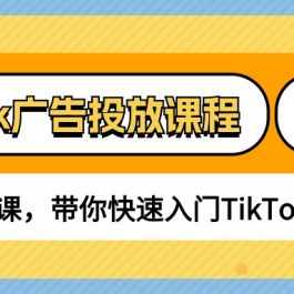 TikTok广告投放课程，从0-1实战课，带你快速入门TikTok广告投放（30节课）