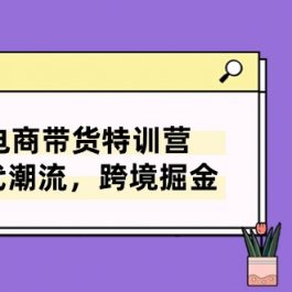 TikTok电商带货特训营，跟随时代潮流，跨境掘金（8节课）