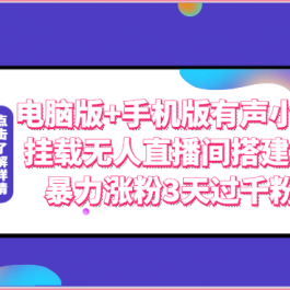 电脑版+手机版有声小说挂载无人直播间搭建，暴力涨粉3天过千粉