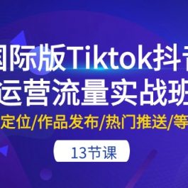 国际版Tiktok抖音运营流量实战班：账号定位/作品发布/热门推送/等等（13节）