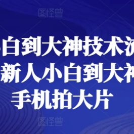 新人小白到大神技术流全套课程，新人小白到大神一部手机拍大片