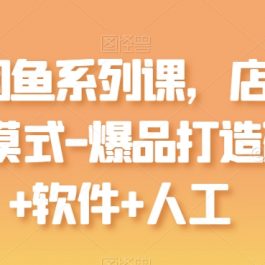 最新闲鱼系列课，店群无货源模式-爆品打造硬件+软件+人工