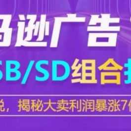 亚马逊SP/SB/SD广告组合打法，揭秘大卖利润暴涨7倍战术